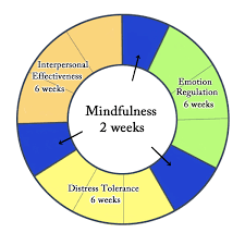 Dialect Behavioral Therapy for Borderline Personality Disorder