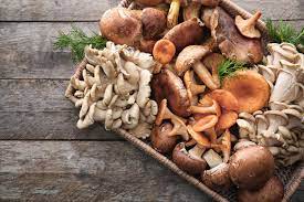 Mushrooms Have Many Benefits For A Healthy Lifestyle