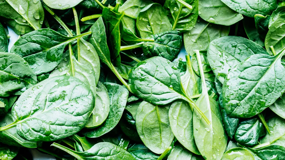 Spinach Health Benefits For Good Health