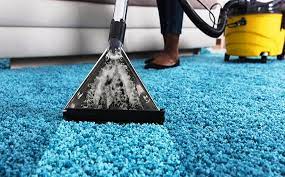 The Ultimate Guide to Making the Most of Your Carpet Cleaning Services Company