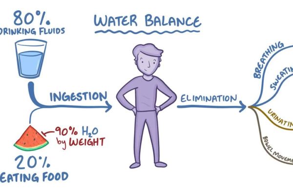 Reverse Osmosis Water Dehydrates