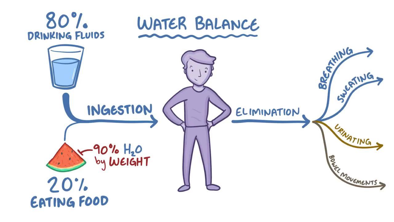 Reverse Osmosis Water Dehydrates